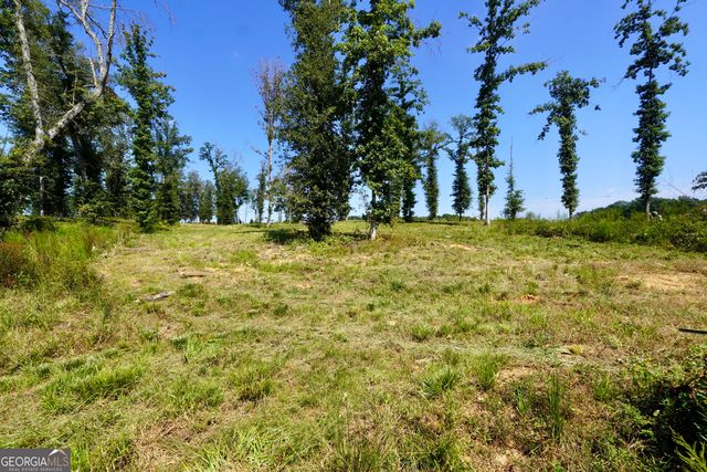0 Walters Road, Barnesville, GA 30204