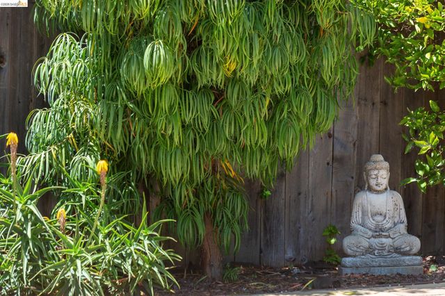 2214 Curtis St, Berkeley, CA 94702