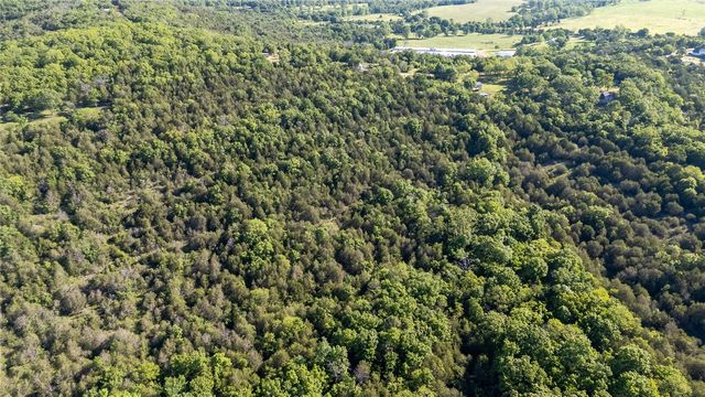Hwy 246, Berryville, AR 72616
