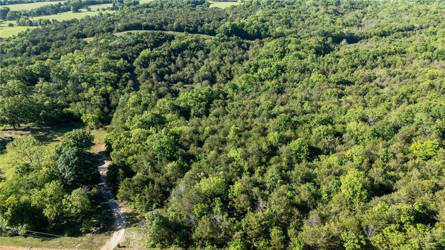 Hwy 246, Berryville, AR 72616