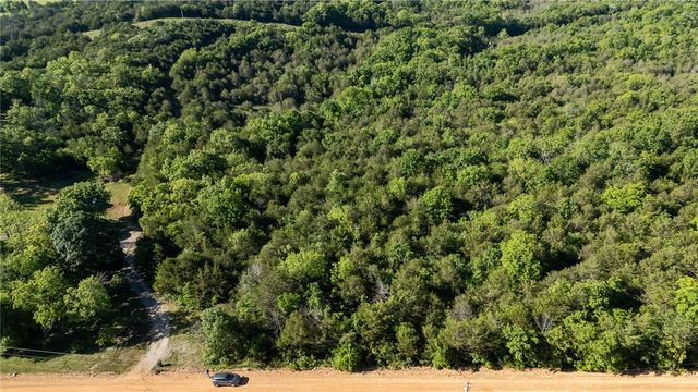 Hwy 246, Berryville, AR 72616
