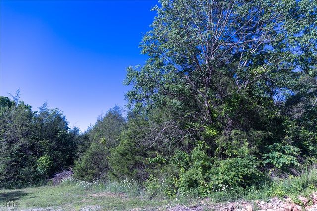 Hwy 246, Berryville, AR 72616