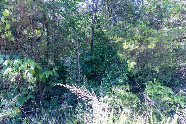 Hwy 246, Berryville, AR 72616