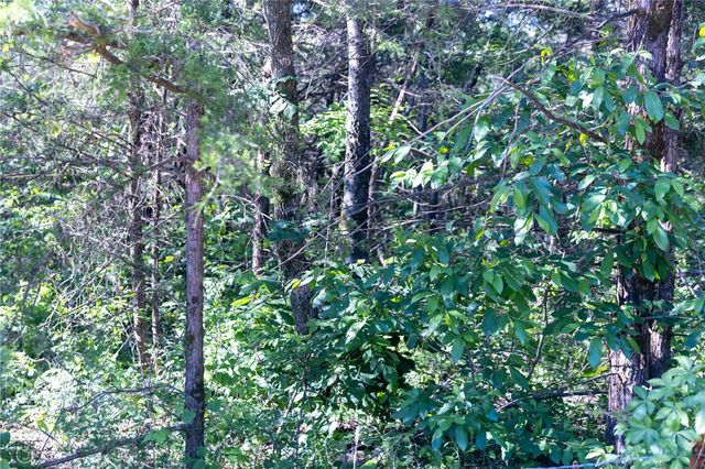 Hwy 246, Berryville, AR 72616