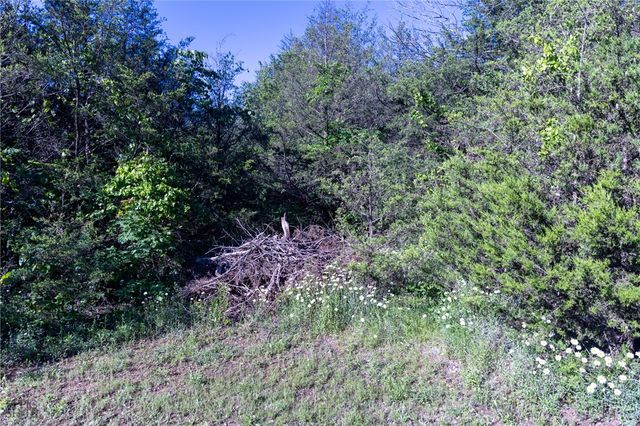 Hwy 246, Berryville, AR 72616