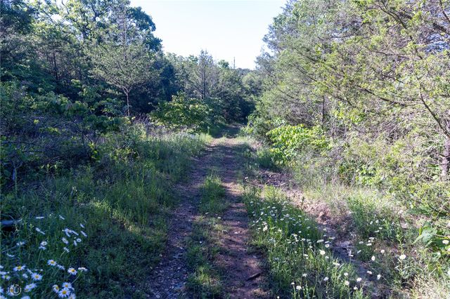 Hwy 246, Berryville, AR 72616