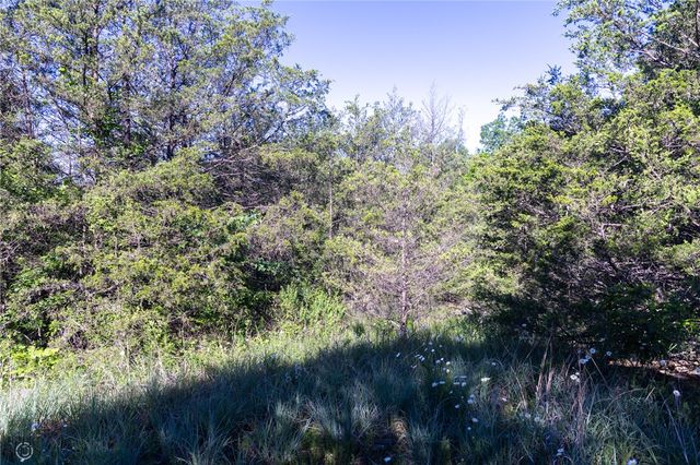 Hwy 246, Berryville, AR 72616