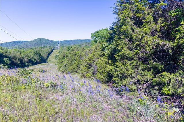 Hwy 246, Berryville, AR 72616