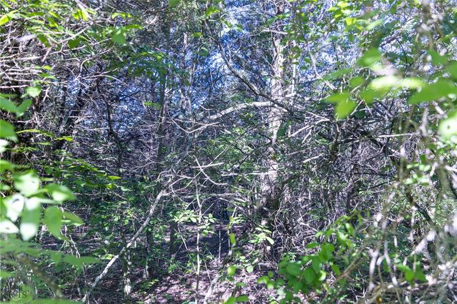 Hwy 246, Berryville, AR 72616
