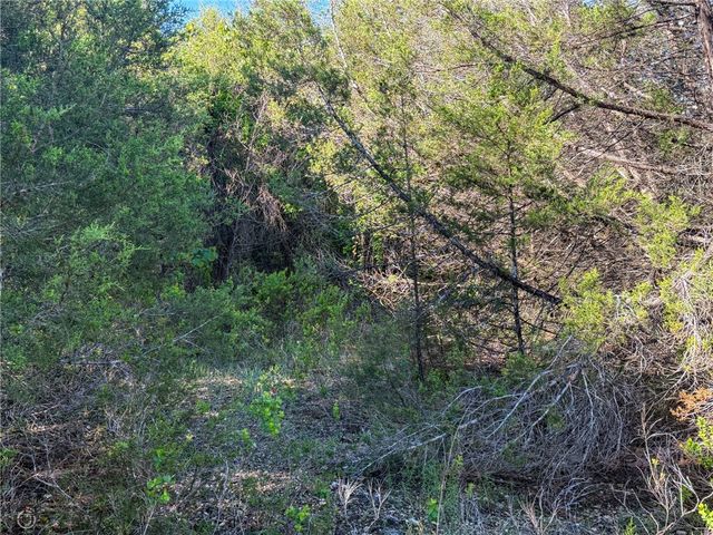 Hwy 246, Berryville, AR 72616