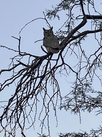 40 E Plaza Del Encanto, Tucson, AZ 85716