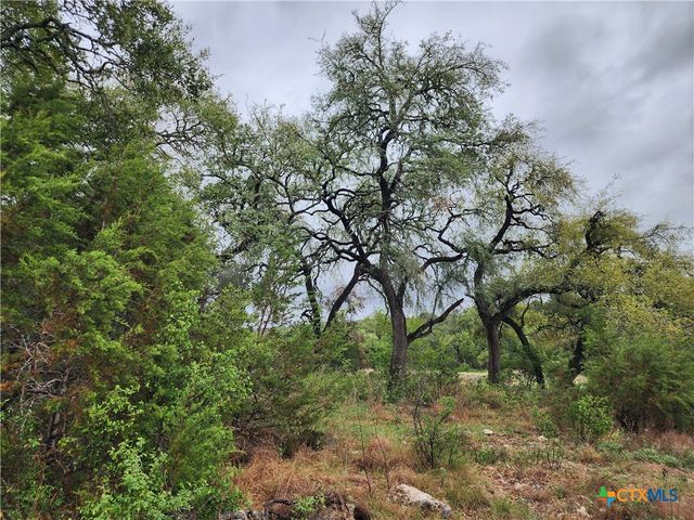 3385 Fulton Ranch Road, Wimberley, TX 78676
