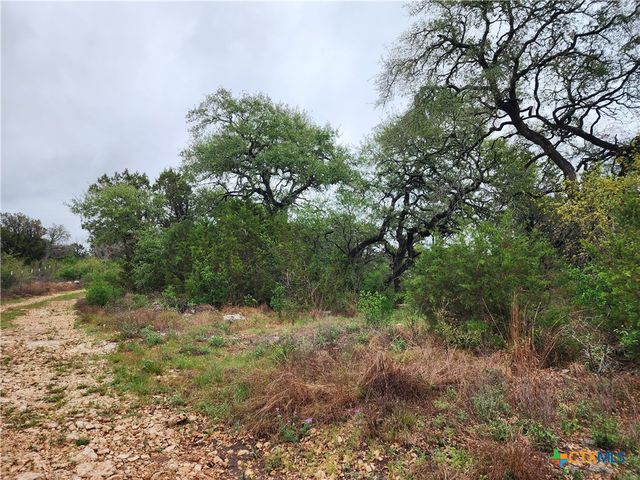 3385 Fulton Ranch Road, Wimberley, TX 78676