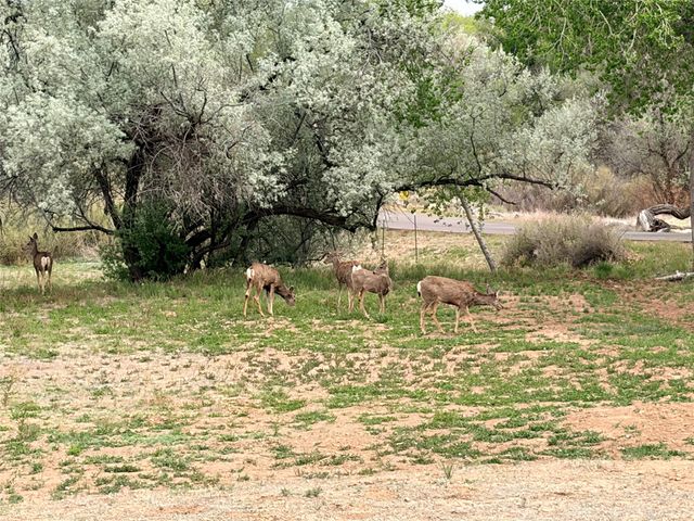 18 Calle Capulin, Santa Fe, NM 87507