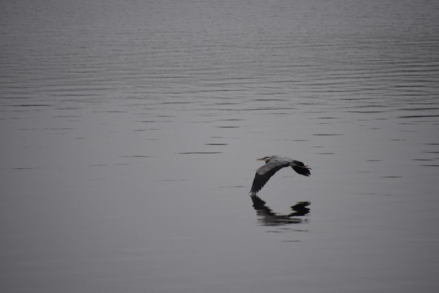 4713 E Lake Shore Drive, Wonder Lake, IL 60097