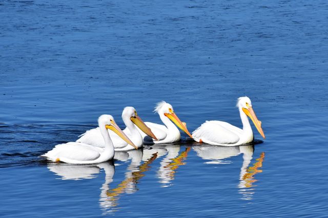 4713 E Lake Shore Drive, Wonder Lake, IL 60097