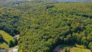 16 E BITTINGER ROAD, Grantsville, MD 21536