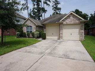 24230 Pine Canyon Falls, Tomball, TX 77375