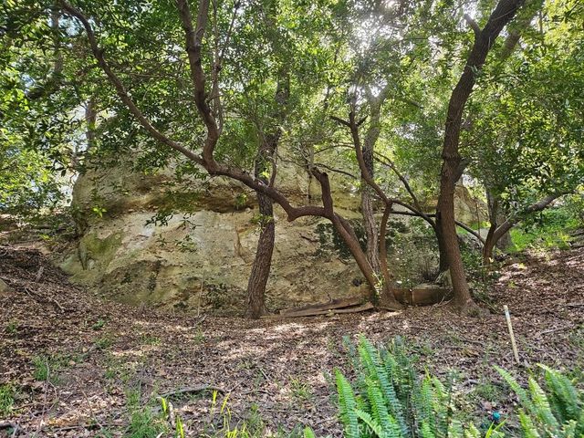 432 Fernwood Pacific, Topanga, CA 90290