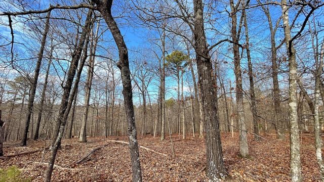 2145 Deer Lake Drive, Kansas, OK 74347