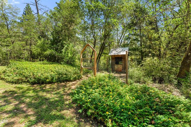6907 Bear Branch Road, Rogue River, OR 97537