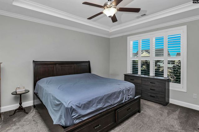 222 Bowyer Court, Chapin, SC 29036