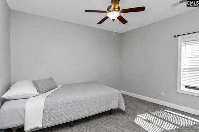 222 Bowyer Court, Chapin, SC 29036