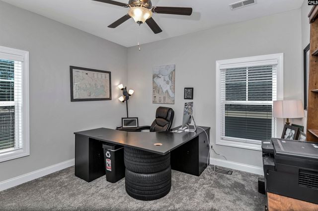 222 Bowyer Court, Chapin, SC 29036