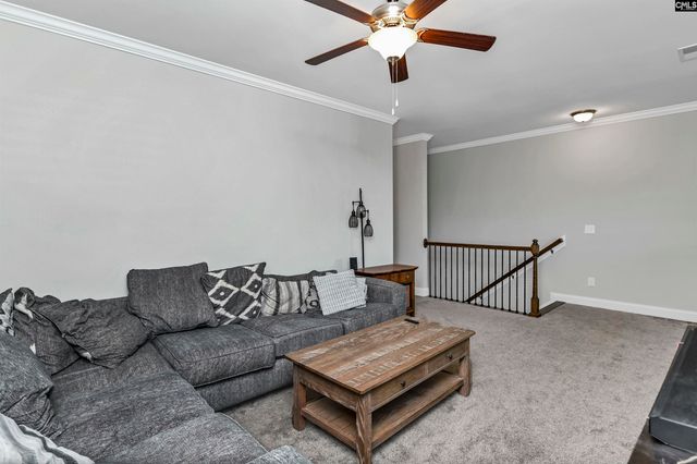 222 Bowyer Court, Chapin, SC 29036