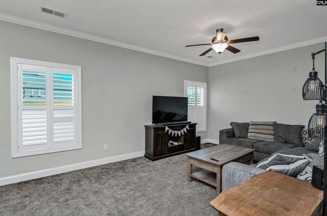 222 Bowyer Court, Chapin, SC 29036