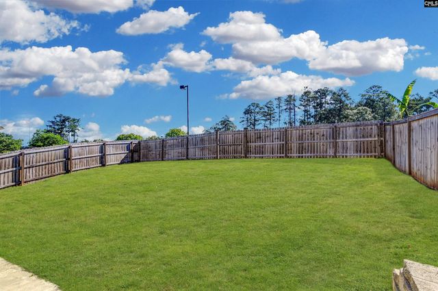 222 Bowyer Court, Chapin, SC 29036