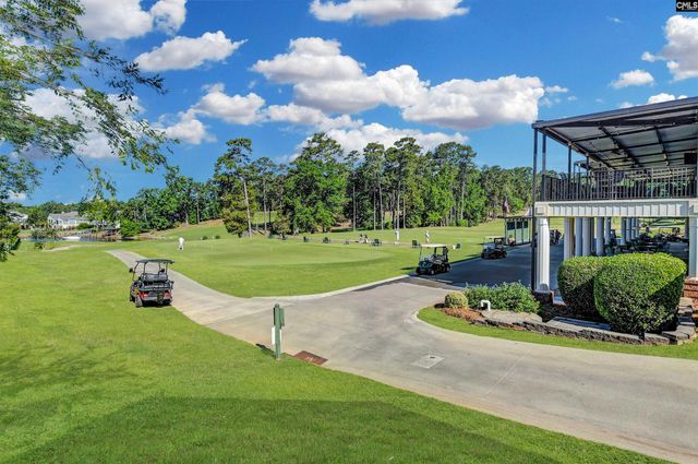 222 Bowyer Court, Chapin, SC 29036