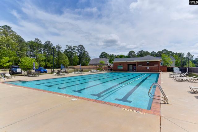 222 Bowyer Court, Chapin, SC 29036