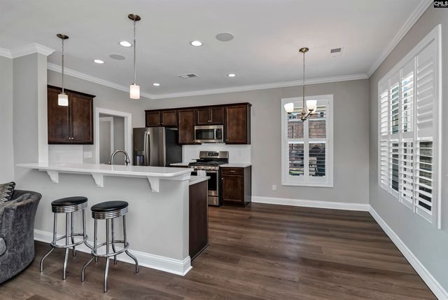 222 Bowyer Court, Chapin, SC 29036