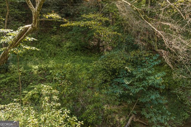 TRACT C Hicks Ford Road, Ellijay, GA 30540