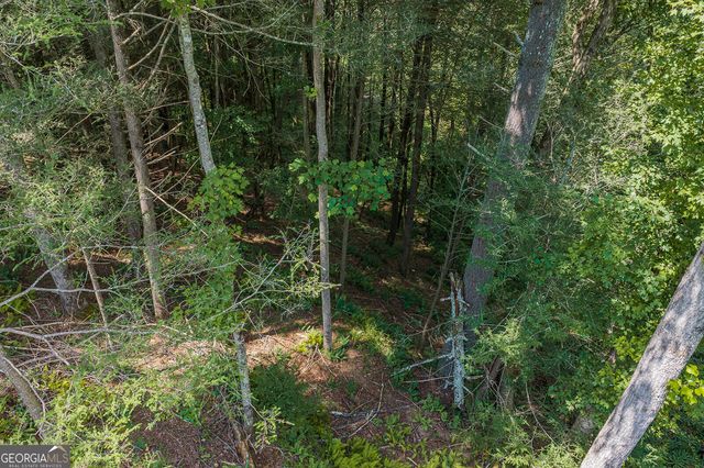 TRACT C Hicks Ford Road, Ellijay, GA 30540