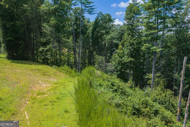 TRACT C Hicks Ford Road, Ellijay, GA 30540