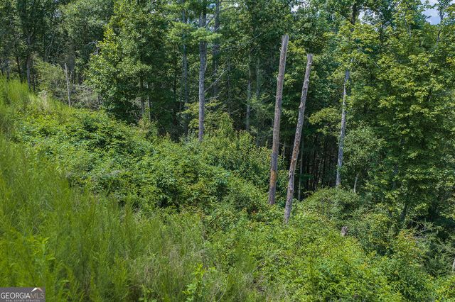 TRACT C Hicks Ford Road, Ellijay, GA 30540