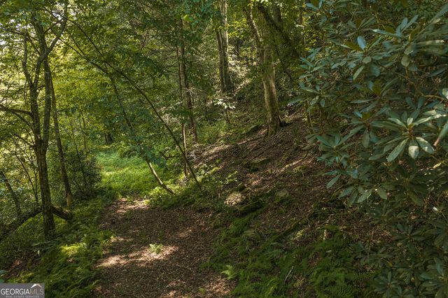 TRACT C Hicks Ford Road, Ellijay, GA 30540