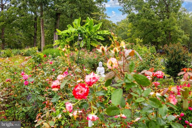 104 HARDWOOD LN, Fredericksburg, VA 22408