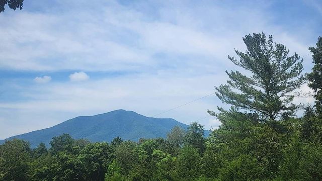 209 Leatherwood PL, Bedford, VA 24523