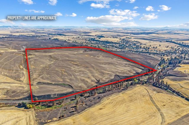 TBD Wells Rd, Malden, WA 99149 property photo