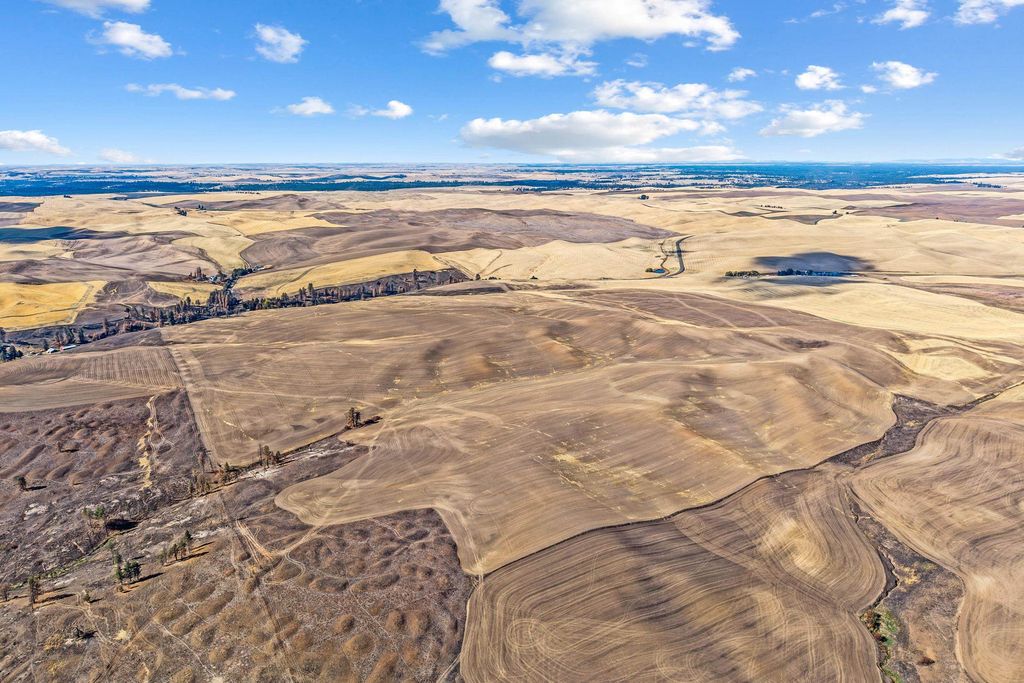 TBD Wells Rd, Malden, WA 99149 photo 3