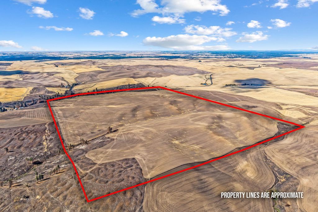 TBD Wells Rd, Malden, WA 99149 photo 4