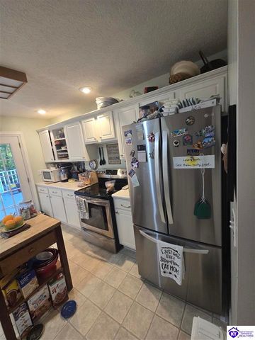 87 Pine Ridge Drive, Brandenburg, KY 40108