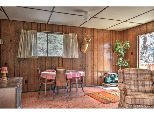 490 Teller St, Lake George, CO 80827