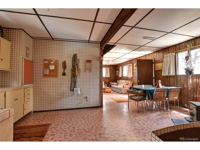 490 Teller St, Lake George, CO 80827