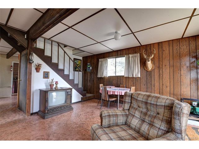 490 Teller St, Lake George, CO 80827