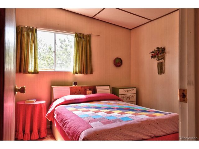 490 Teller St, Lake George, CO 80827