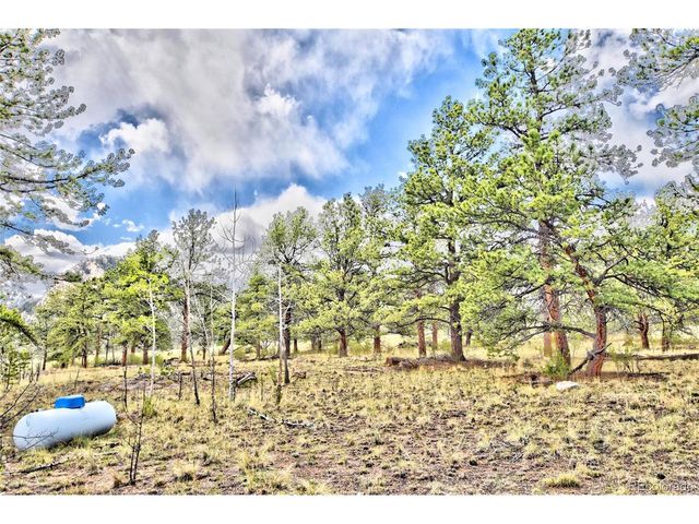 490 Teller St, Lake George, CO 80827